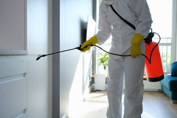 Best White Mold Remediation in Mclendon Chisholm, TX