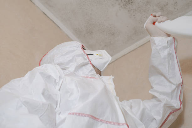 Best Commercial Mold Remediation in Mclendon Chisholm, TX